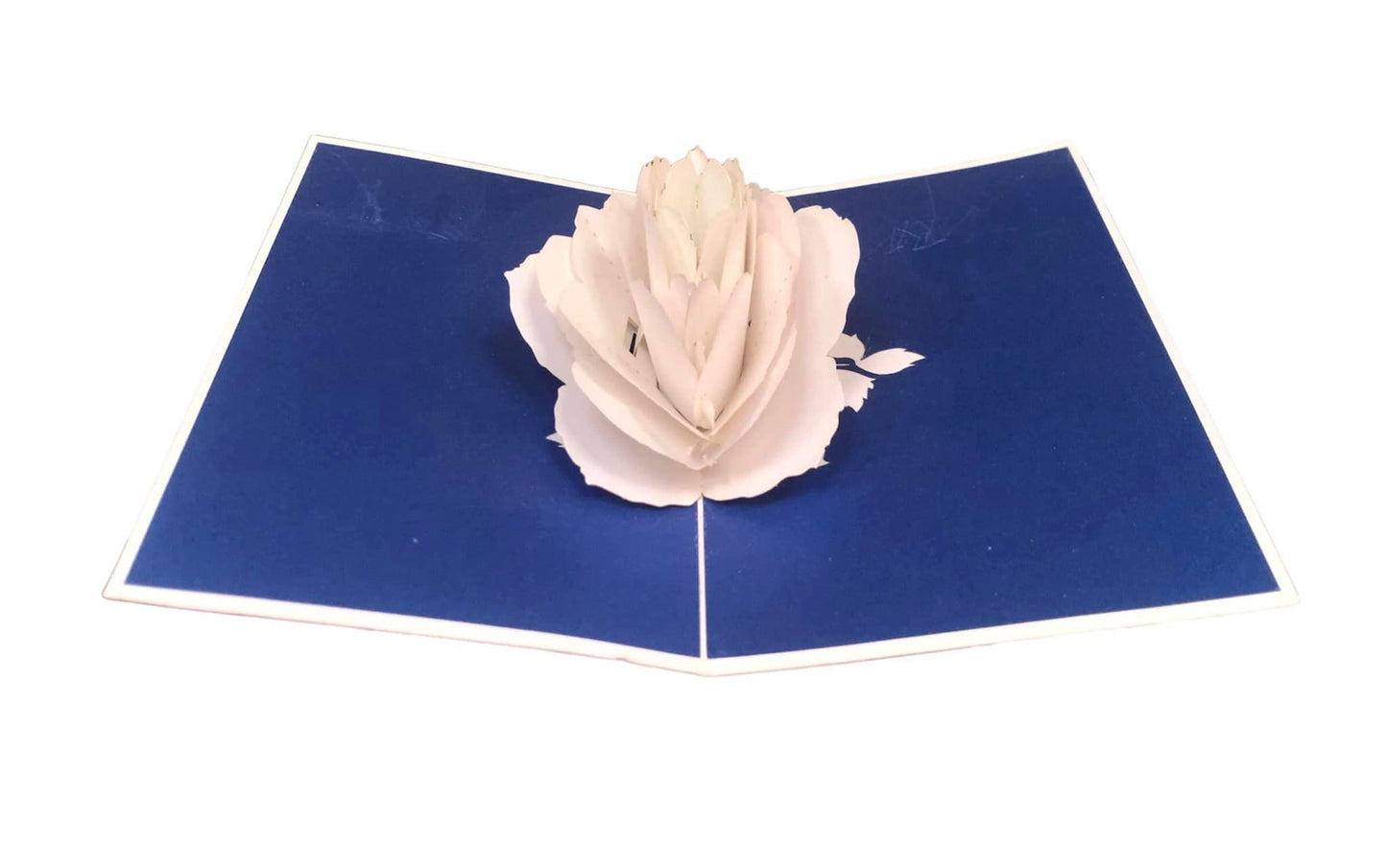 BIGLIETTO ROSA BIANCA - ORIGAMO