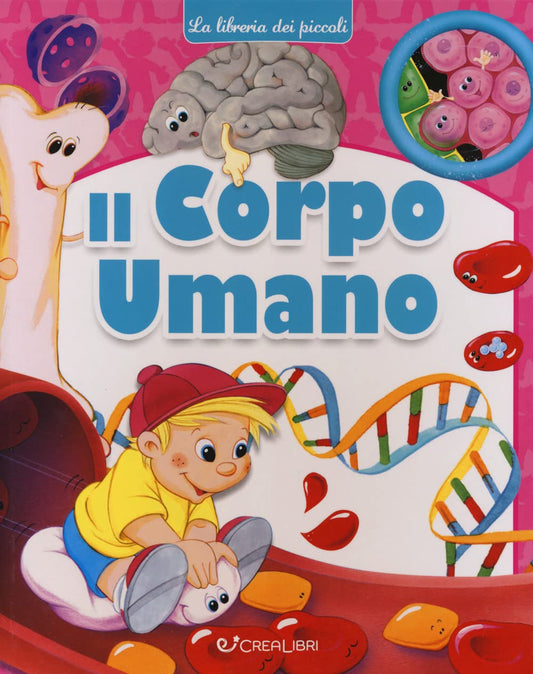 Il Corpo Umano - Edicart CreaLibri